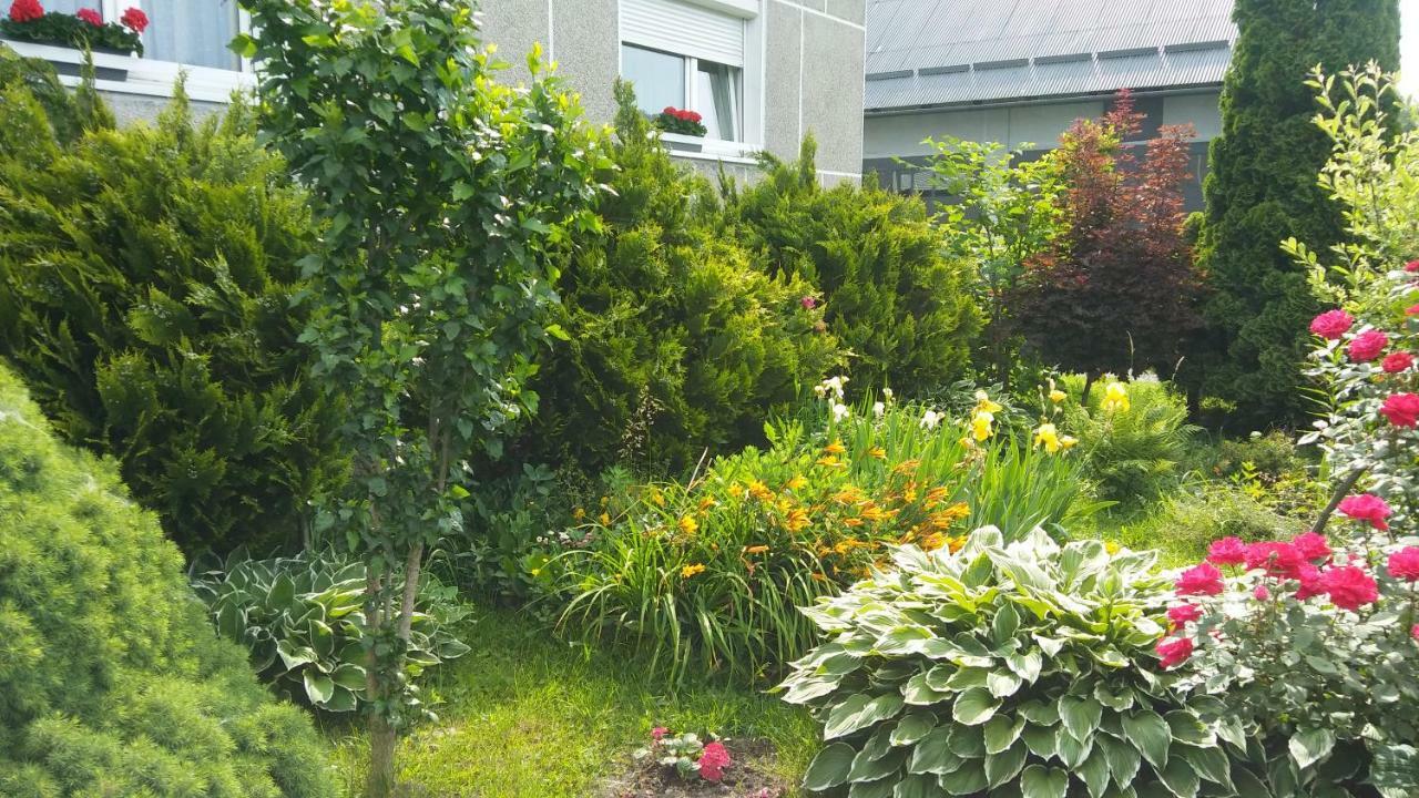 Apartament Jutrzenka Spytkowice  Extérieur photo